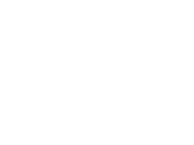 zenmed stone image